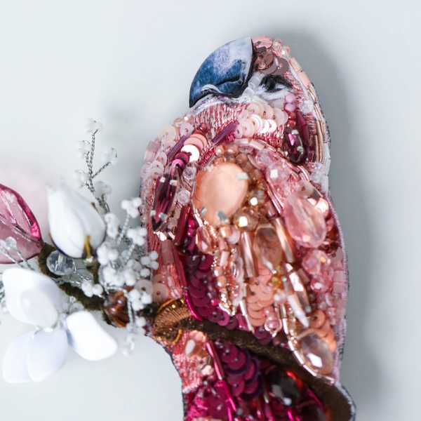 Попугай Джой